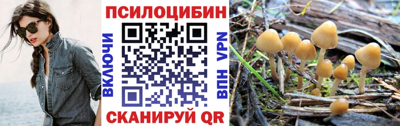 darknet формула  Нягань  Псилоцибиновые грибы GOLDEN TEACHER 